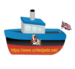 a fun boat